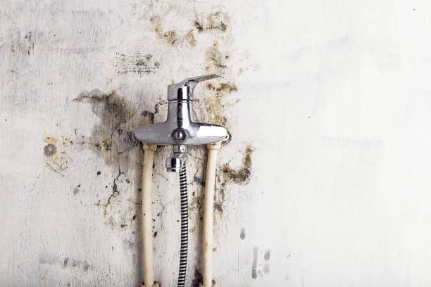 Best Mold Removal Near Me  in Pasatiempo, CA