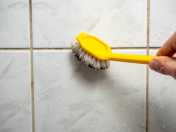 Professional Mold Removal in Pasatiempo, CA