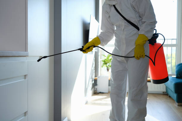 Best Attic Mold Removal  in Pasatiempo, CA