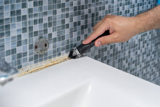 Best Mold Damage Repair  in Pasatiempo, CA