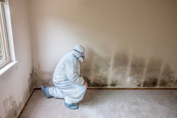 Best Mold Cleaning Services  in Pasatiempo, CA