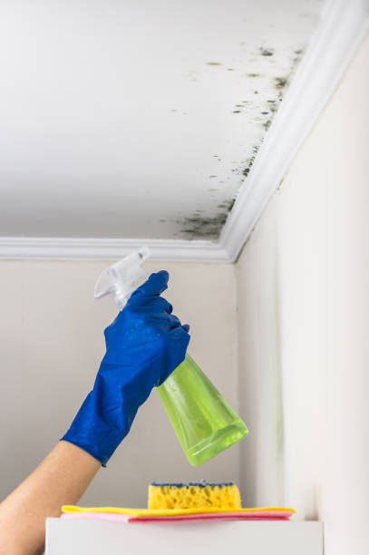 Best Water Damage Restoration  in Pasatiempo, CA